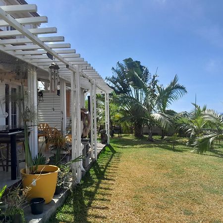 Chambre Vue Sur Mer Entre Grande Anse Et Manapany Petite Île Exteriör bild
