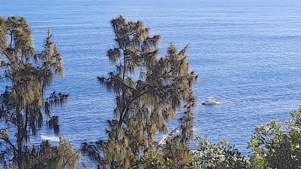 Chambre Vue Sur Mer Entre Grande Anse Et Manapany Petite Île Exteriör bild
