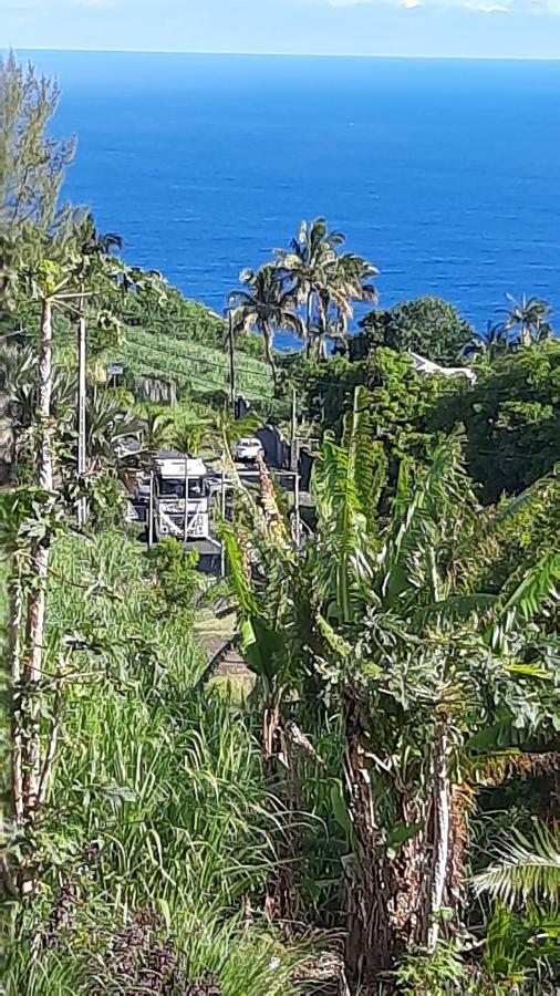 Chambre Vue Sur Mer Entre Grande Anse Et Manapany Petite Île Exteriör bild
