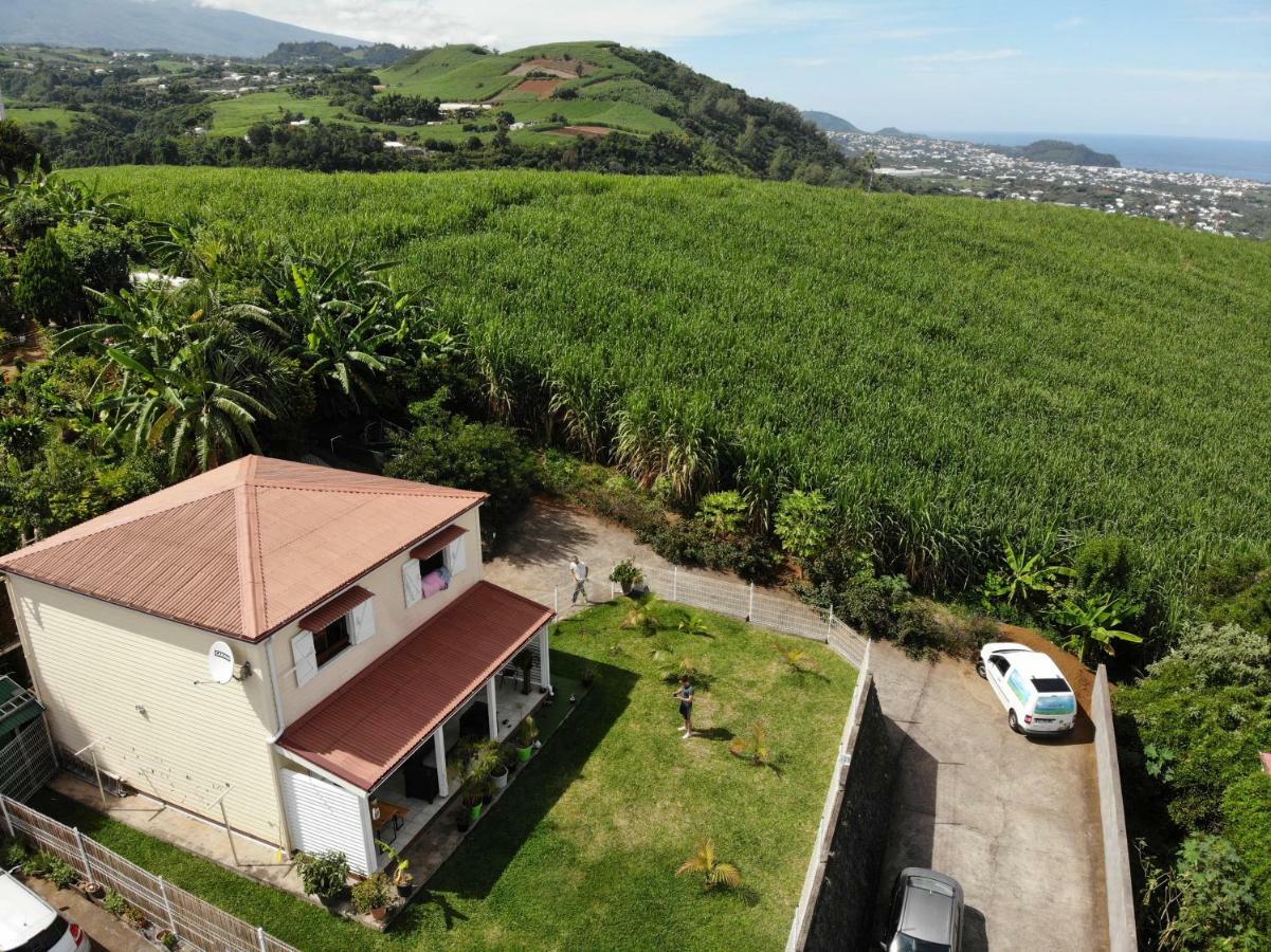 Chambre Vue Sur Mer Entre Grande Anse Et Manapany Petite Île Exteriör bild